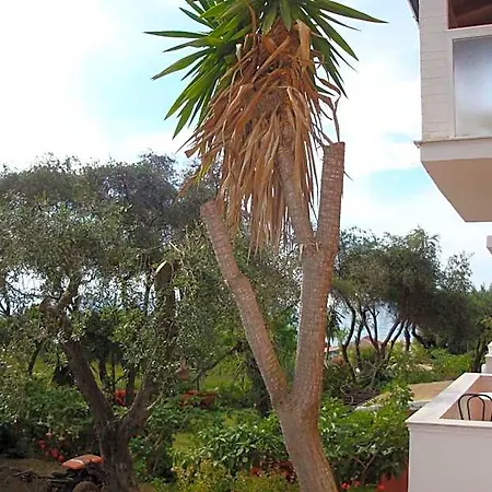 Hotel Skala