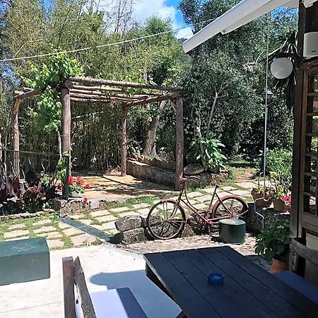 Hotel Skala 3*
